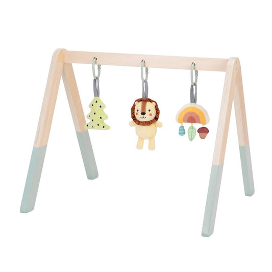 Baby Gym & Toys
